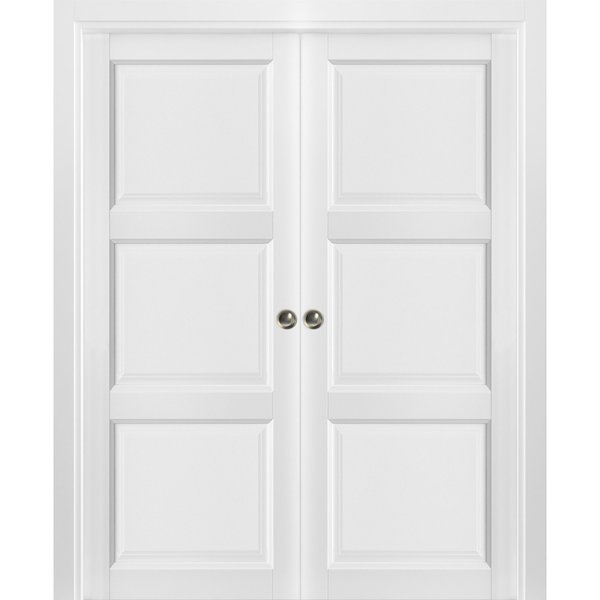 Sartodoors Double Pocket Interior Door, 64" x 96", White LUCIA2661DP-BEM-6496